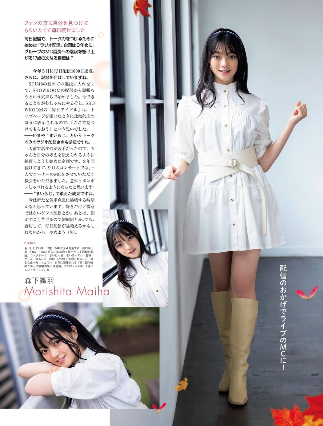 Platinum Flash Vol.17