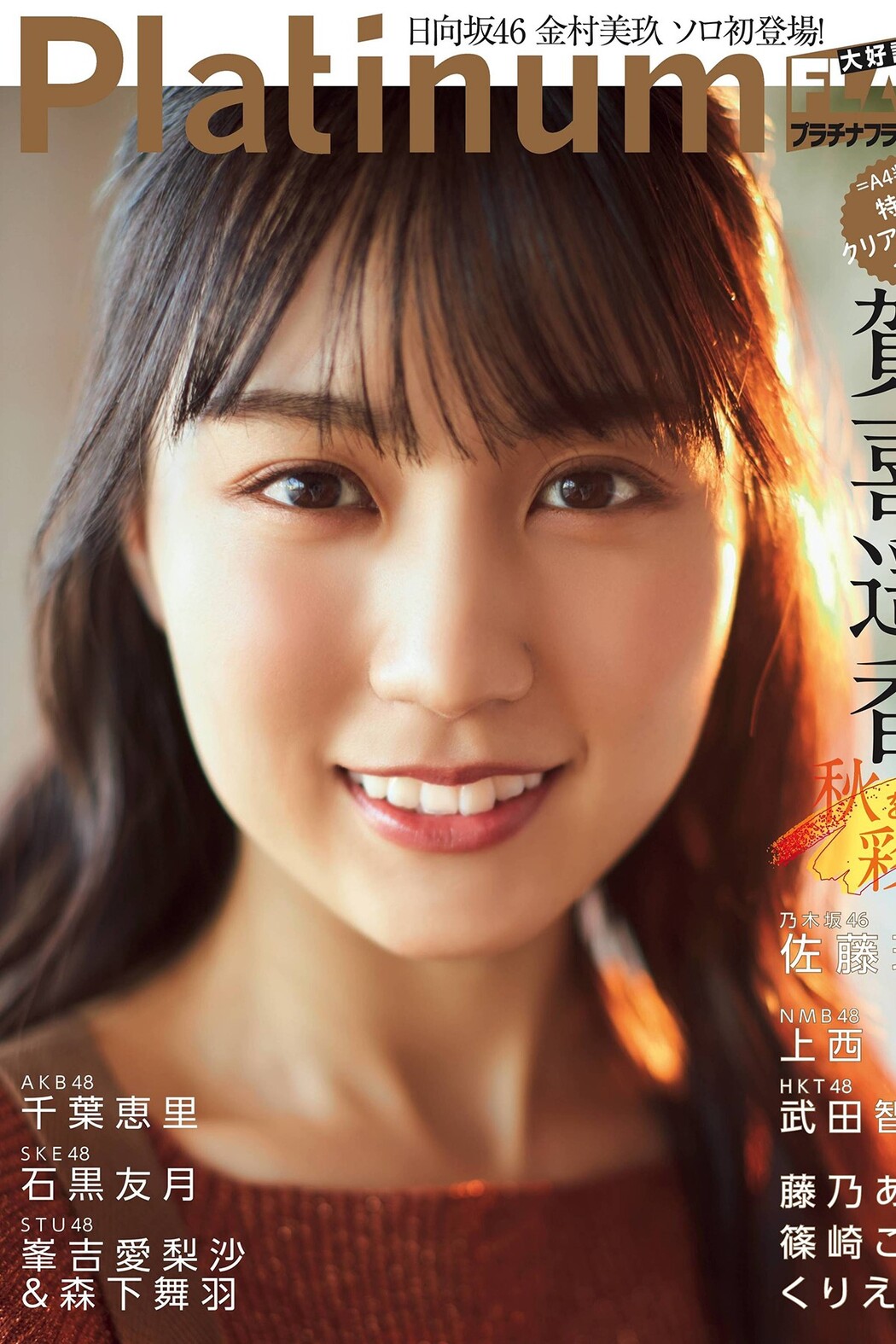 Platinum Flash Vol.17 Cover Photo