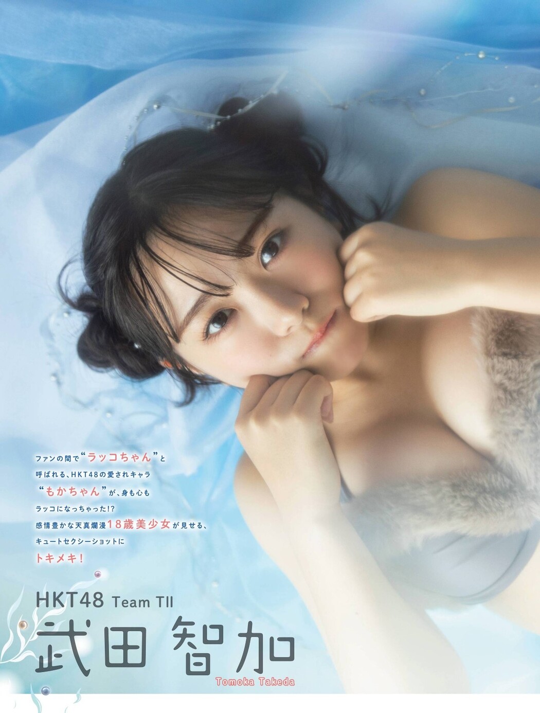 Platinum Flash Vol.17