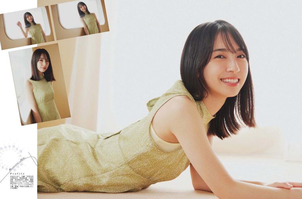 Platinum Flash Vol.17