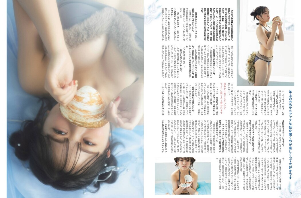 Platinum Flash Vol.17
