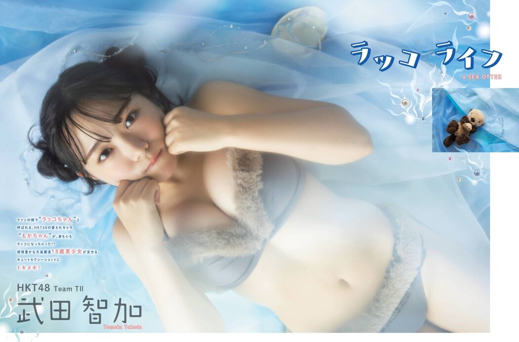 Platinum Flash Vol.17