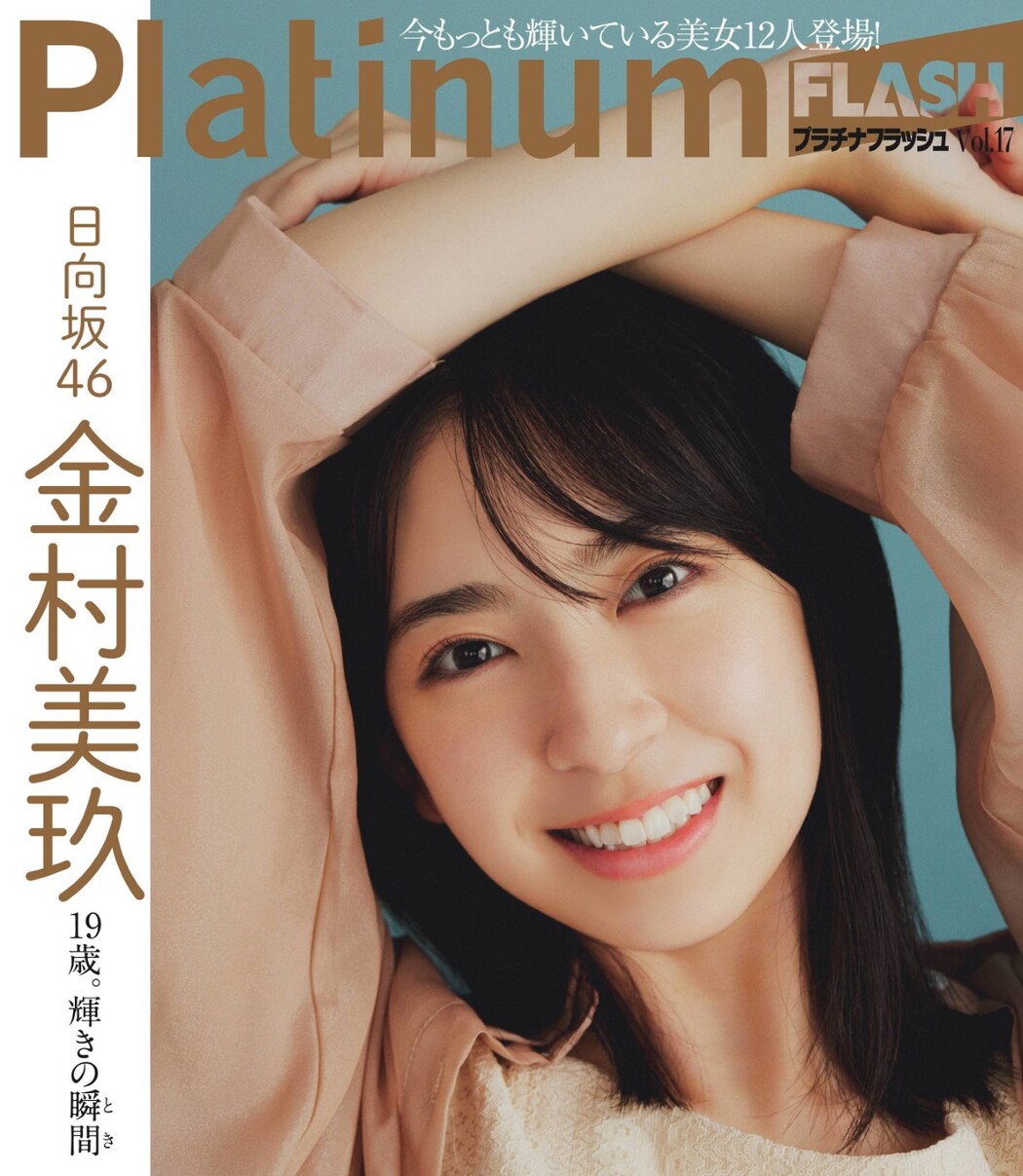 Platinum Flash Vol.17