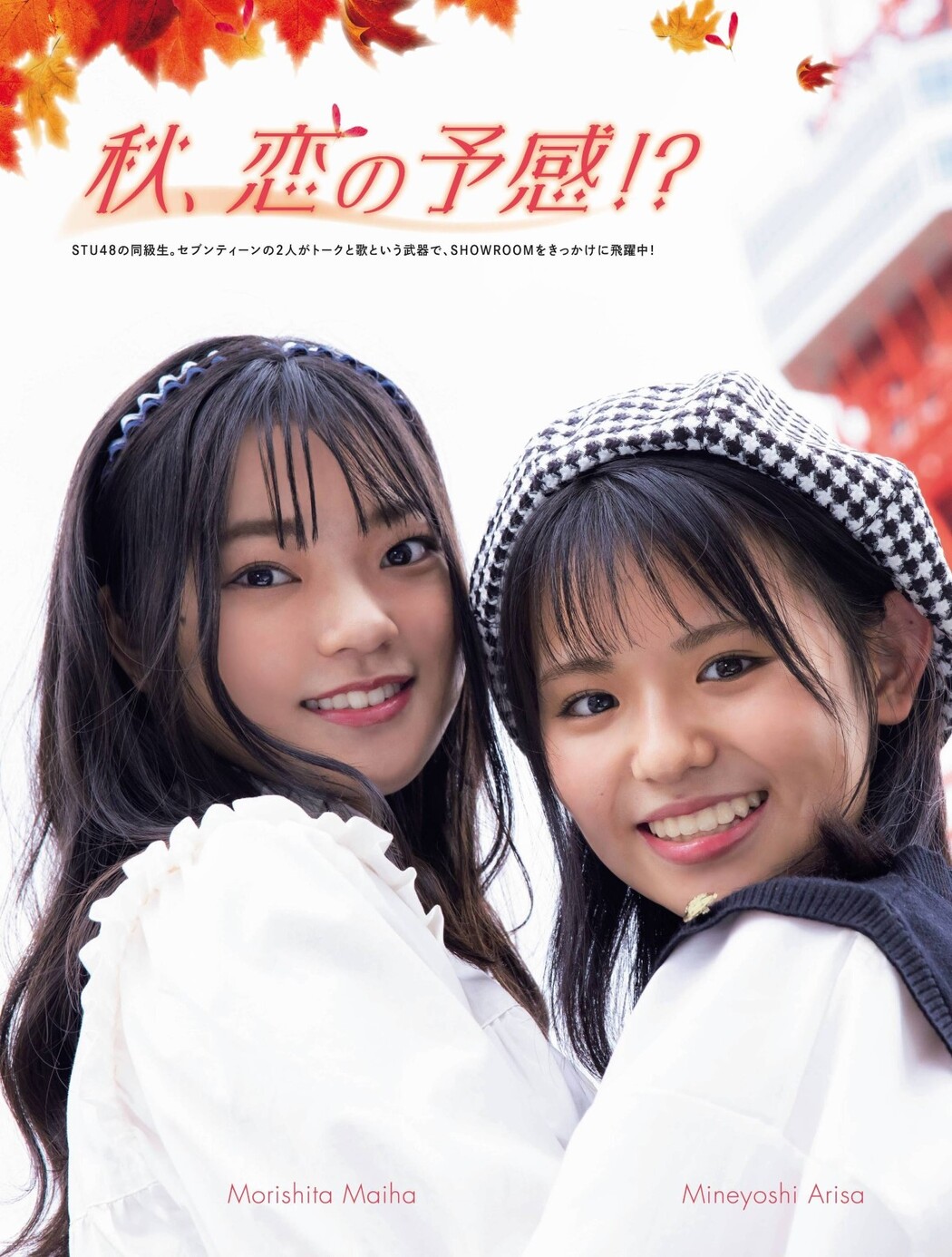 Platinum Flash Vol.17