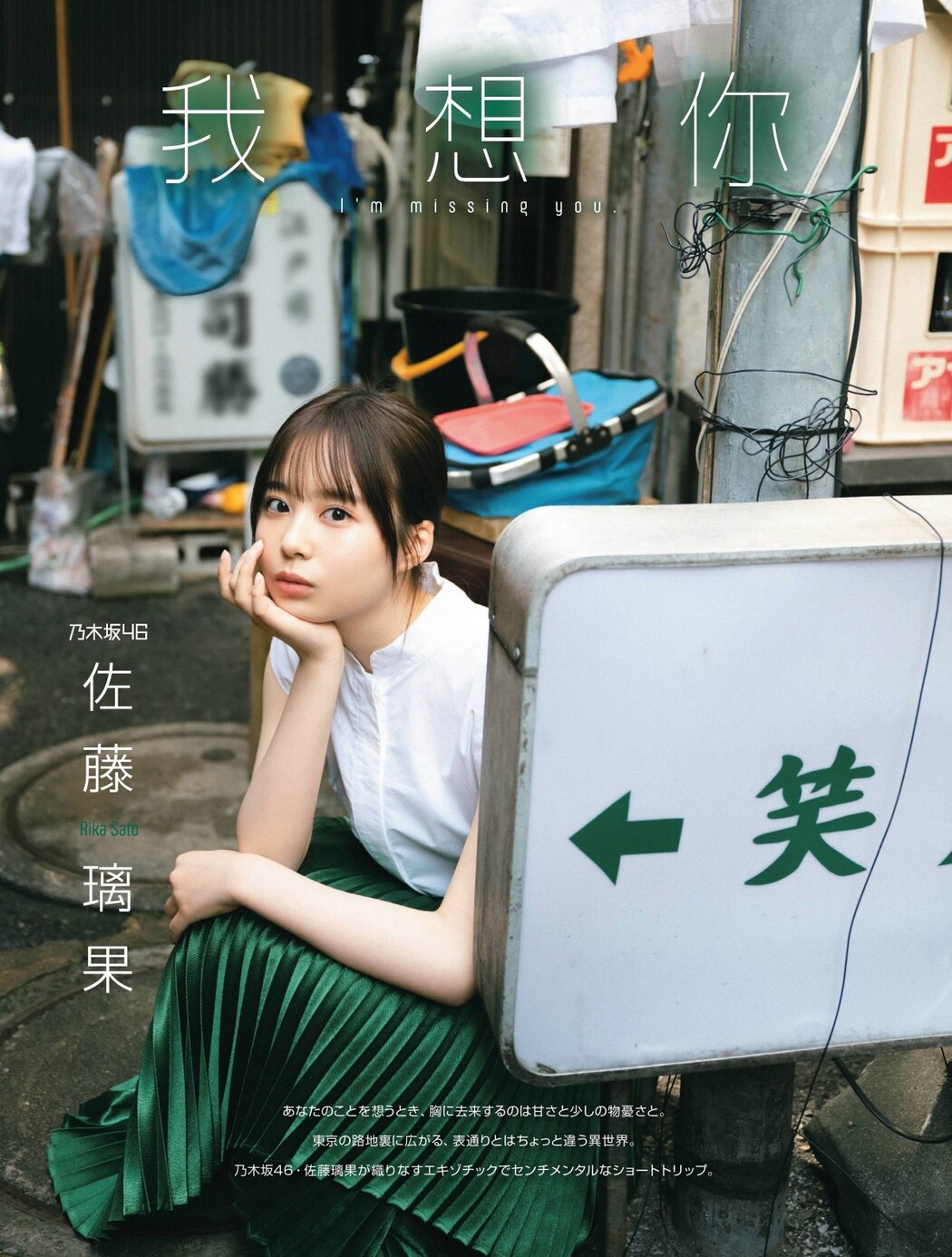 Platinum Flash Vol.17