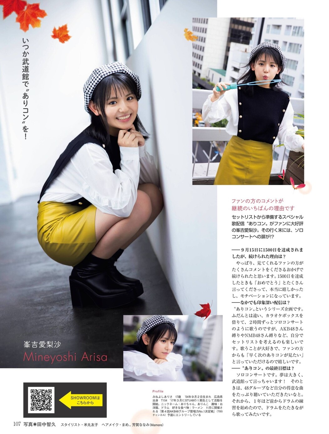 Platinum Flash Vol.17