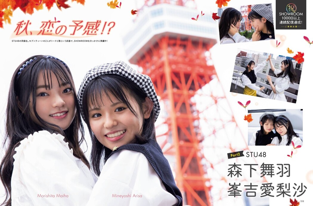 Platinum Flash Vol.17