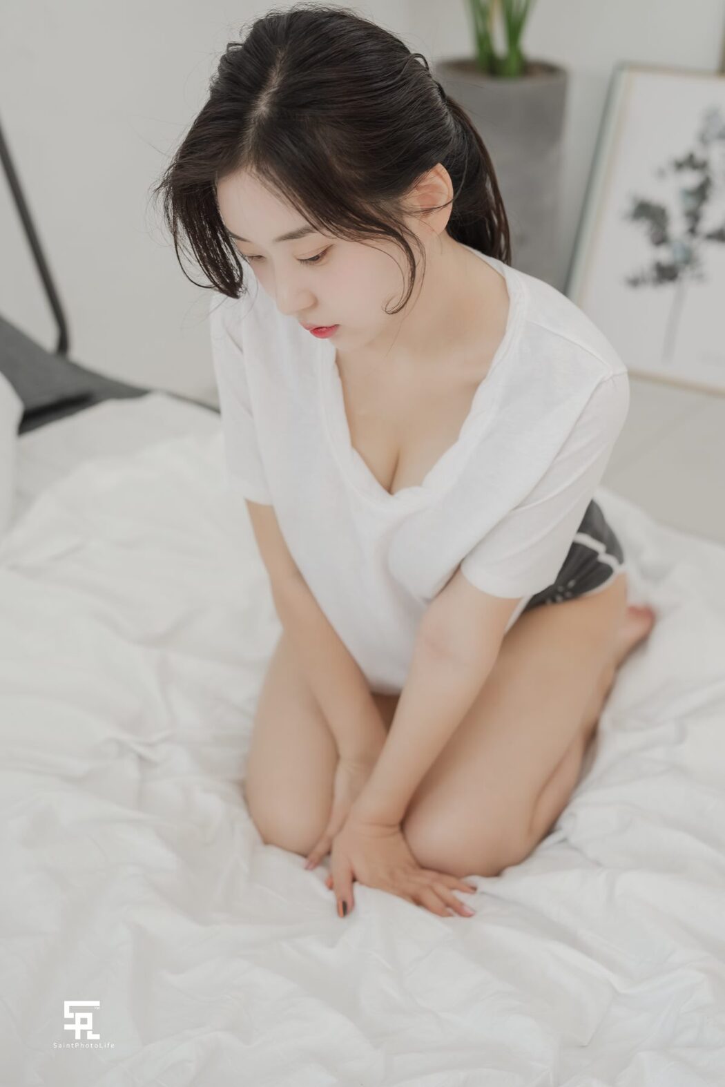 SaintPhotoLife One Summer Day Zenny