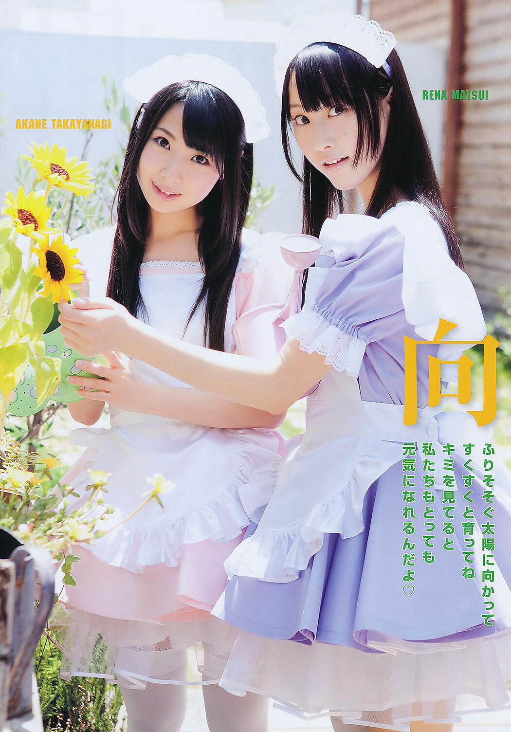 Seira Sato 佐藤聖羅, Young Animal 2011 No.16 (ヤングアニマル 2011年16号)