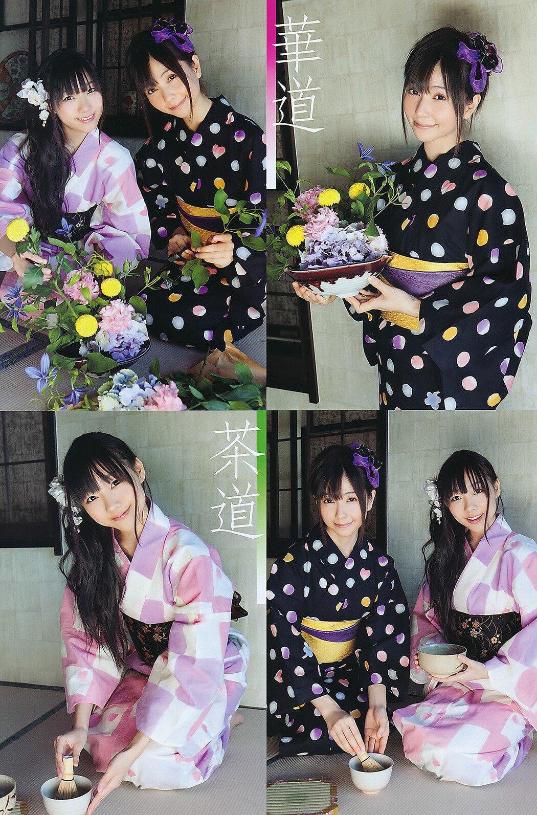 Seira Sato 佐藤聖羅, Young Animal 2011 No.16 (ヤングアニマル 2011年16号)