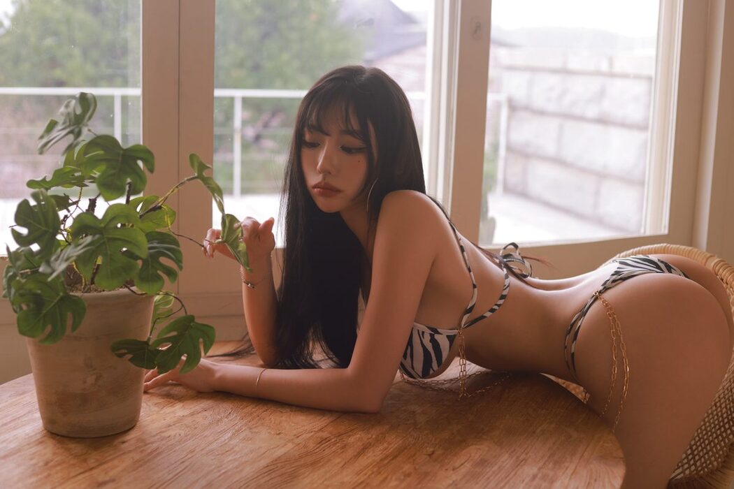 Dongeuran 동그란 – ZEBRA B