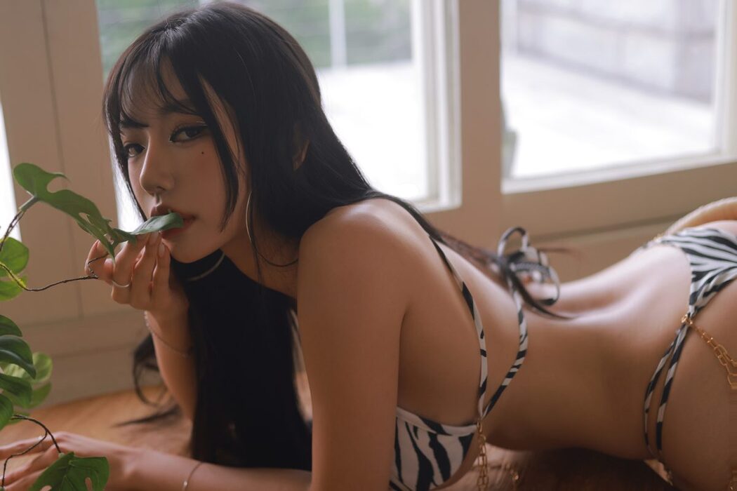 Dongeuran 동그란 – ZEBRA B