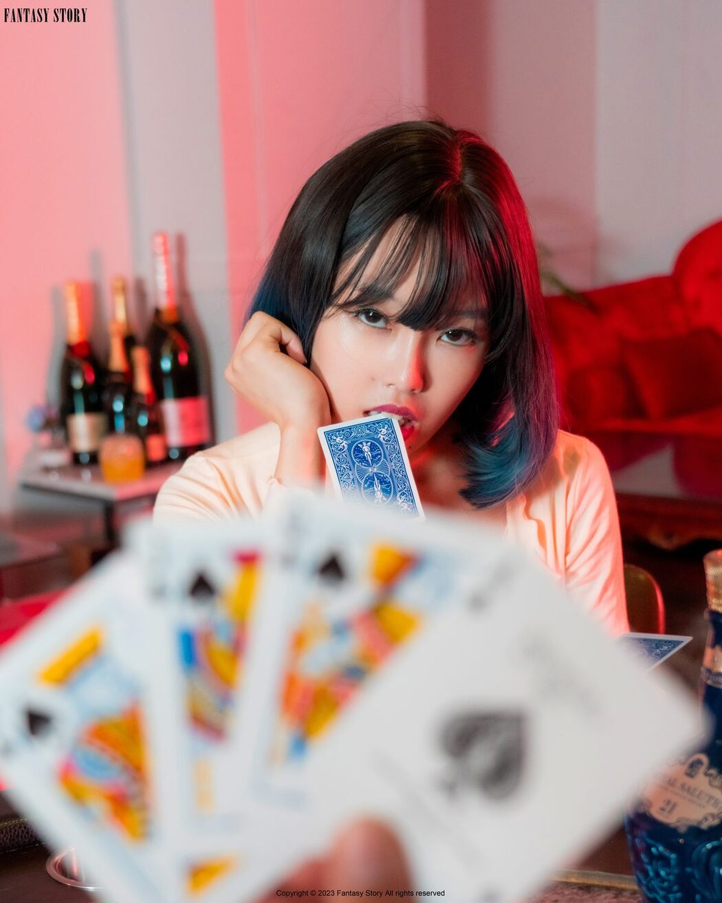 Fantasy Story Stella – A Card Game For Undressing A