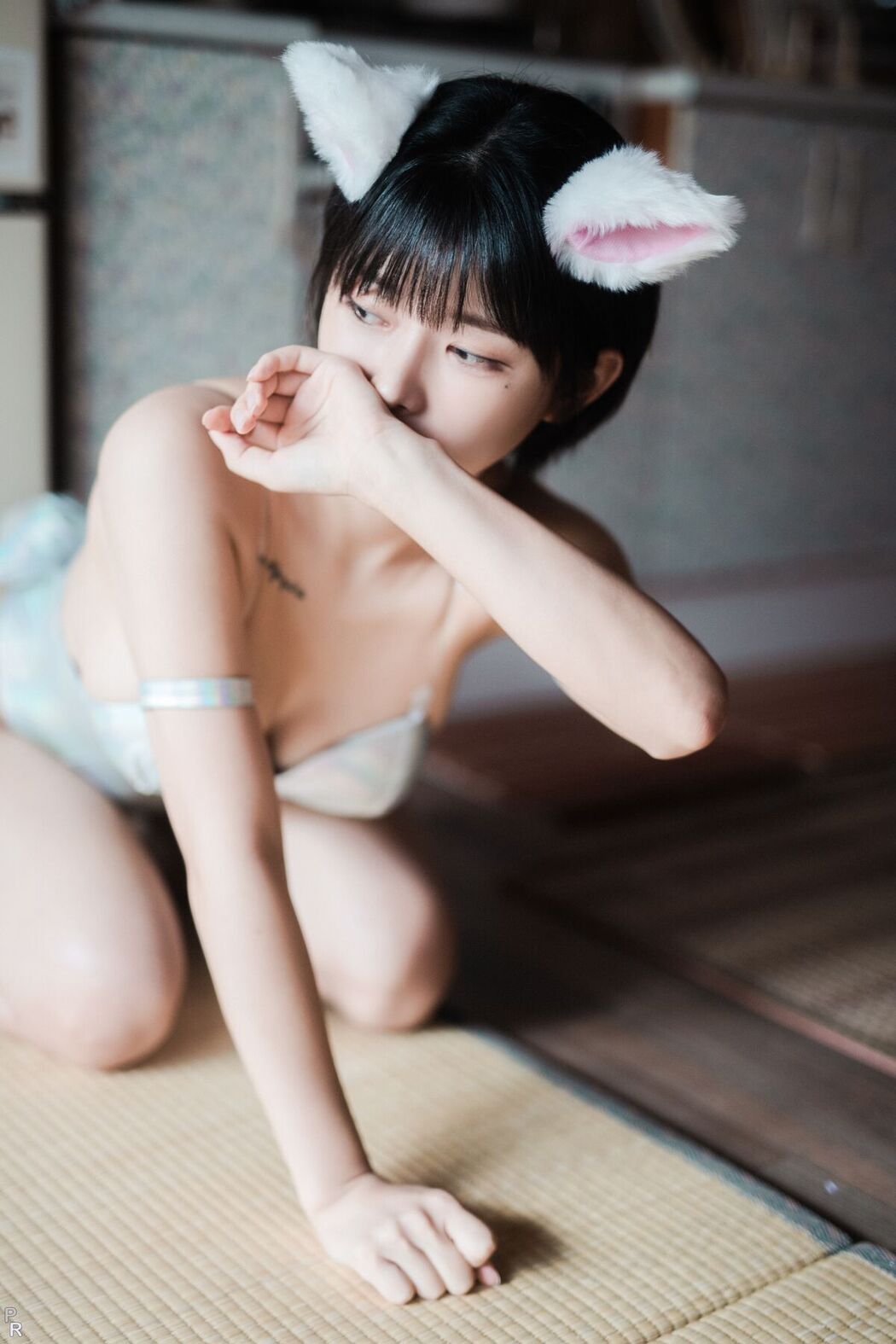 PINK U.Hwa 은유화 – My Cat B