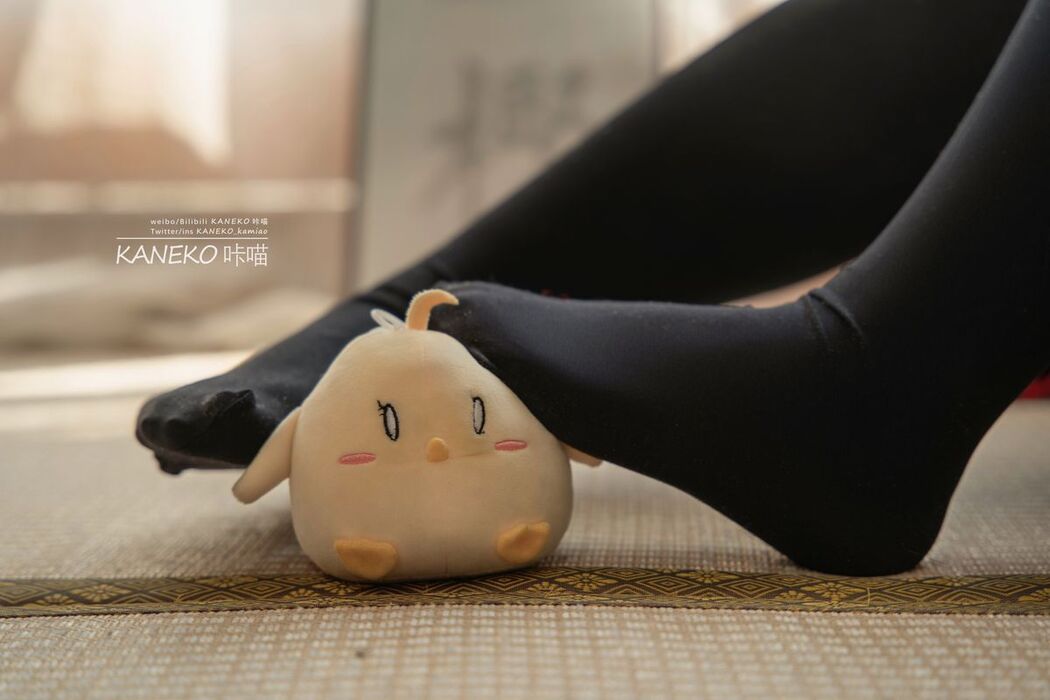 Coser@KANEKO_咔喵 – 樫野牛牛女仆 (36P – 2V)