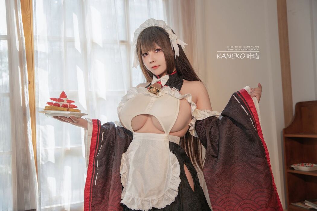 Coser@KANEKO_咔喵 – 樫野牛牛女仆 (36P – 2V)
