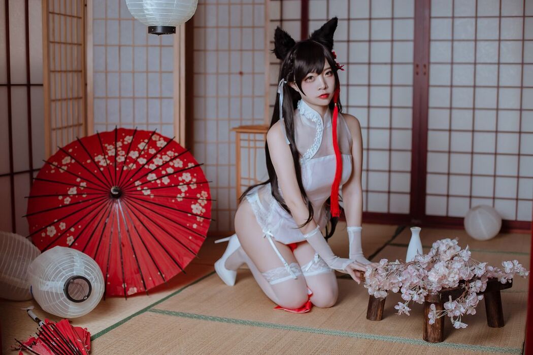 Coser@二佐Nisa – 犬之眷 碧蓝航线 爱宕 旗袍 (19P)