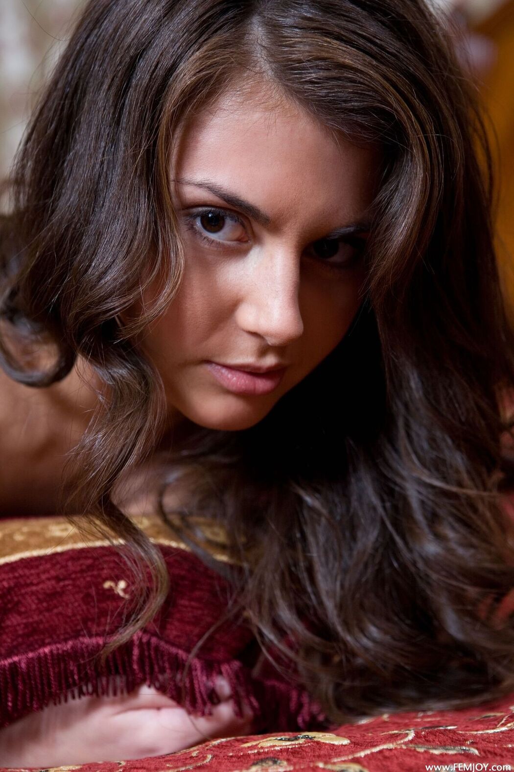 FemJoy Alannis &#8211; Royal Red (54P)