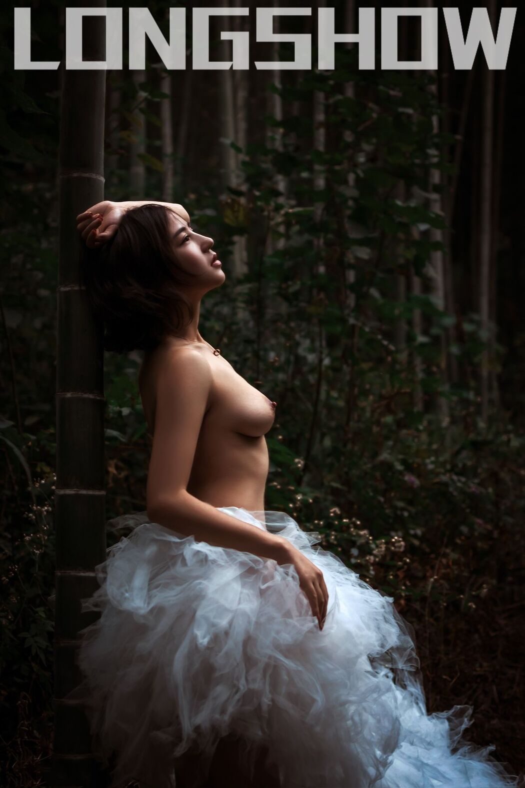 Longshow Photography – 唯美色情写真集 Part08 (62P)