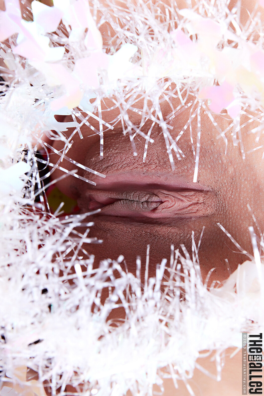 Eileen The Black Alley Photobook Set.13