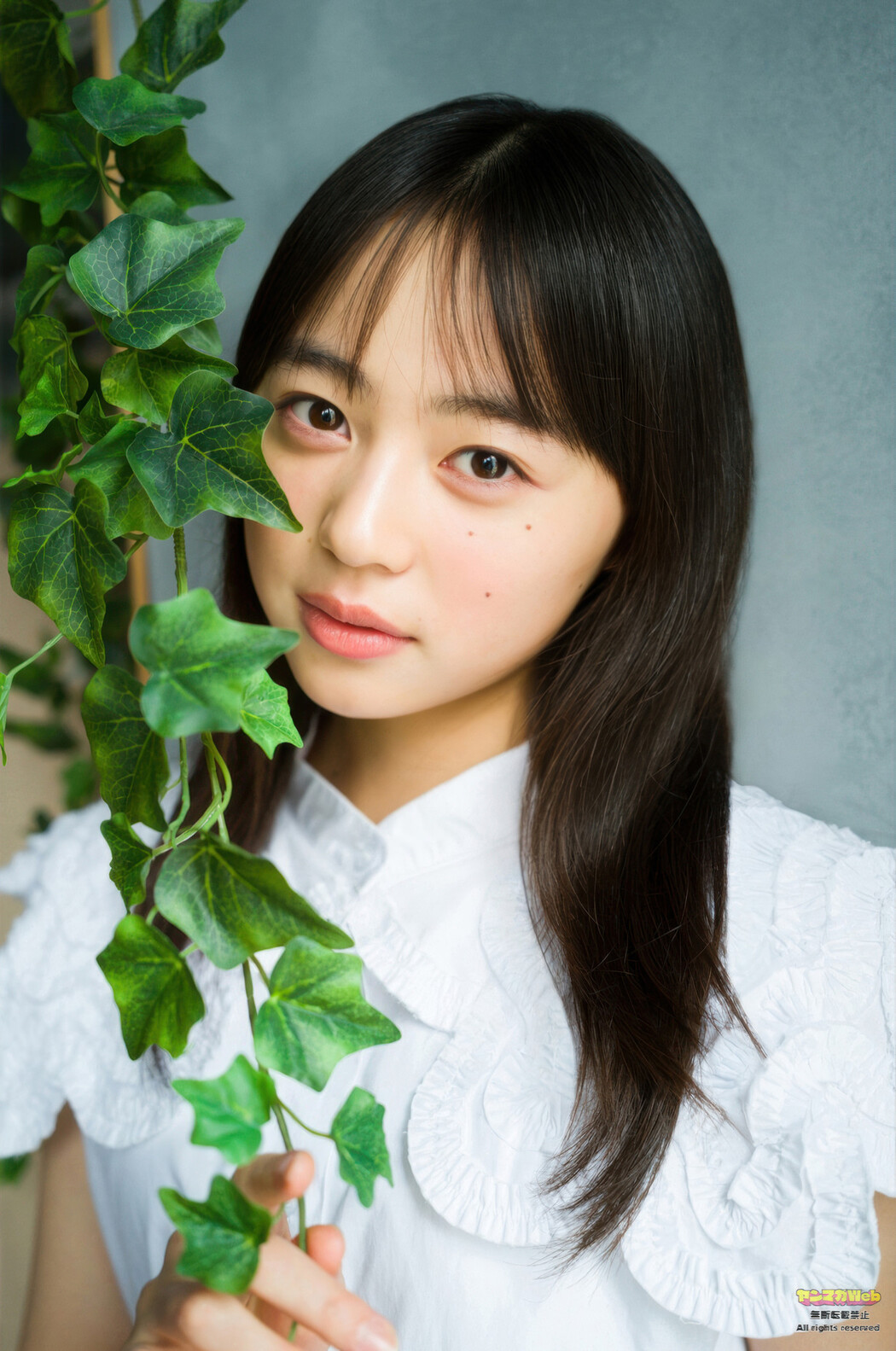 松尾そのま・泉有乃・北里琉, Young Magazine 2025 No.35 (ヤングマガジン 2025年35号)