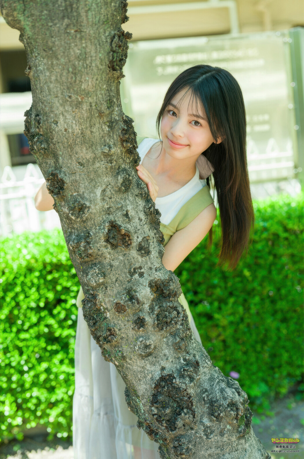 竹下優名・小國舞羽・藤本唯千夏, Young Magazine 2025 No.35 (ヤングマガジン 2025年35号)