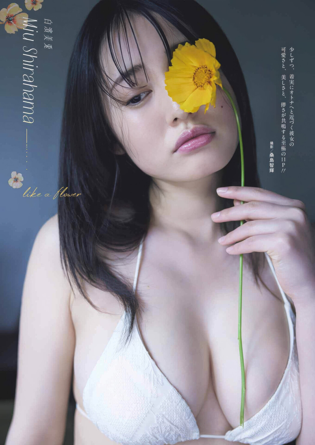 Miu Shirahama 白濱美兎, Young Gangan 2025 No.16 (ヤングガンガン 2025年16号)