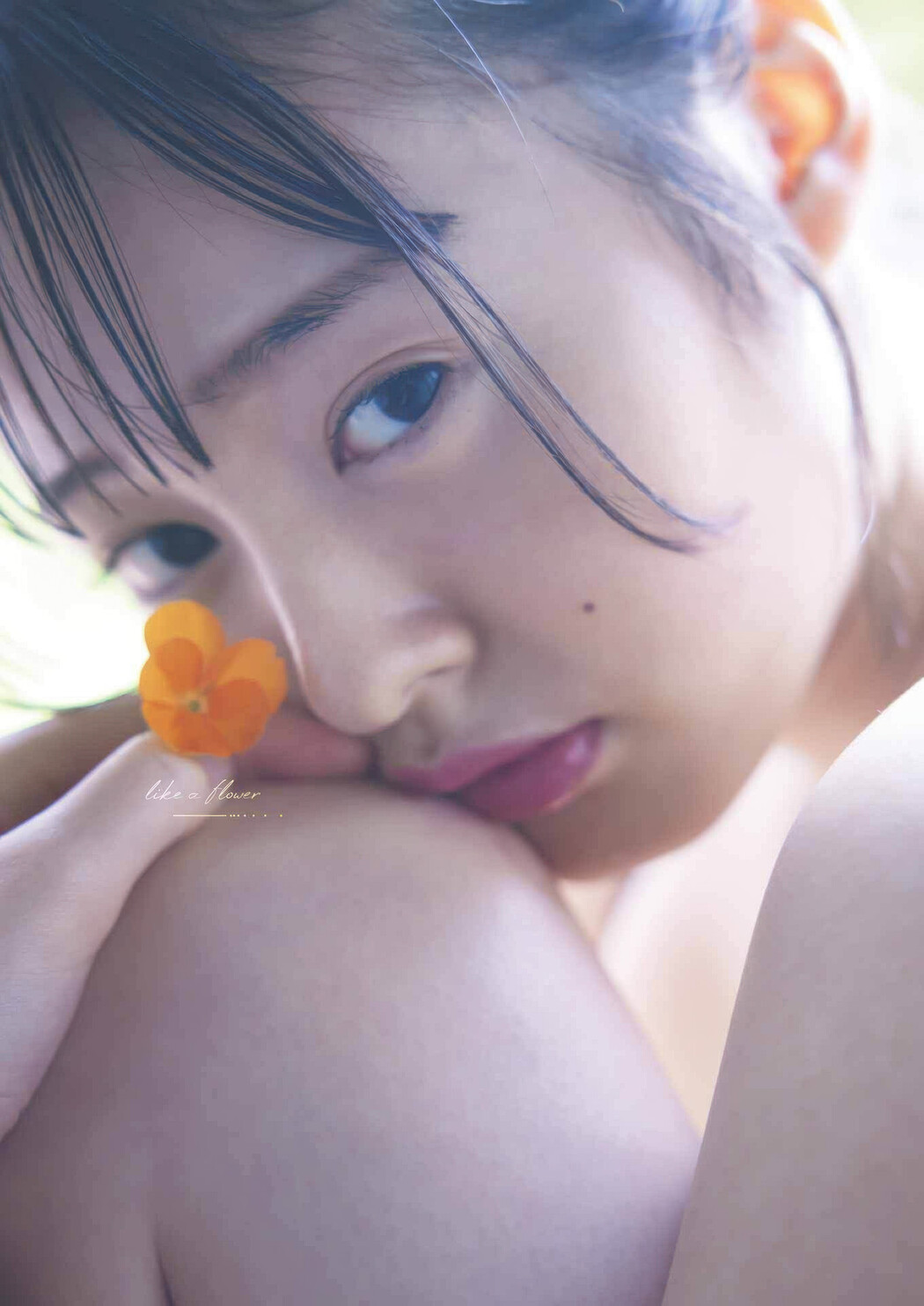 Miu Shirahama 白濱美兎, Young Gangan 2025 No.16 (ヤングガンガン 2025年16号)