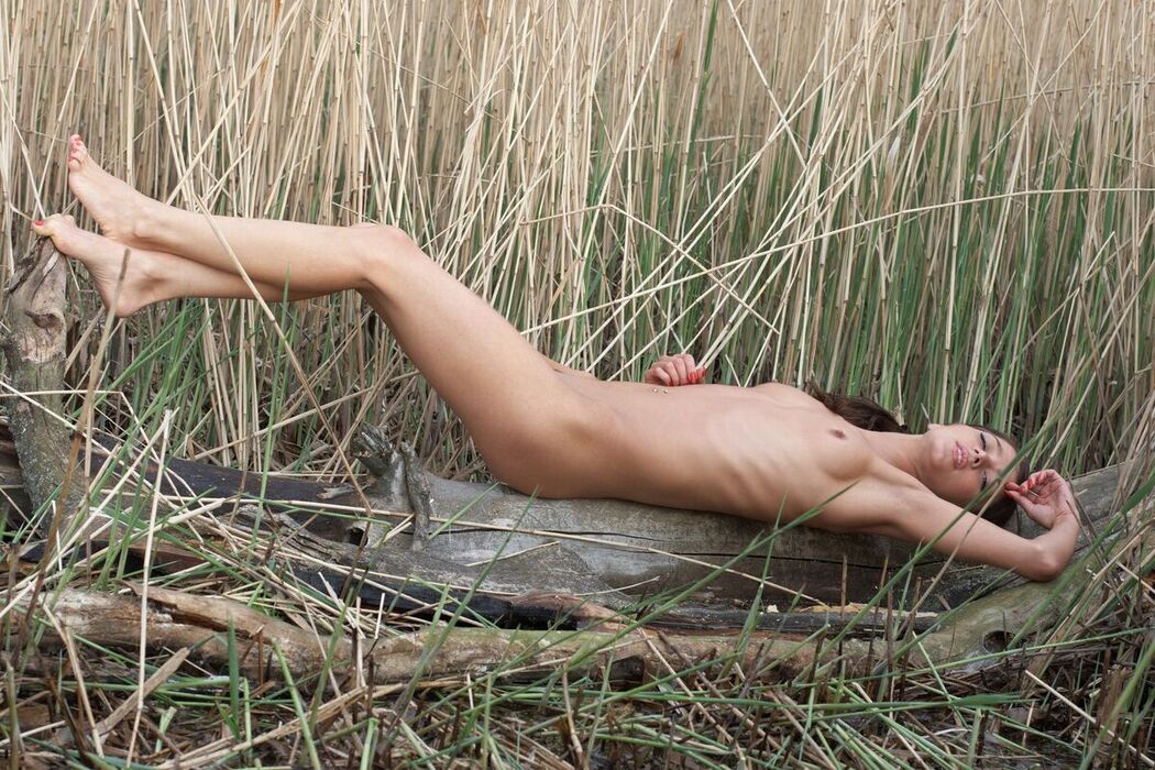 MetArt Victoria A &#8211; Trigo (72P)