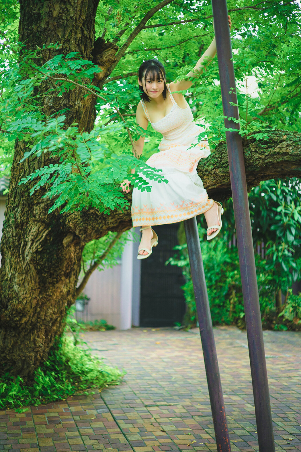 Miu Shirahama 白濱美兎, ヤングチャンピオンデジグラ 「鳥取が生んだ超逸材！」 Set.02