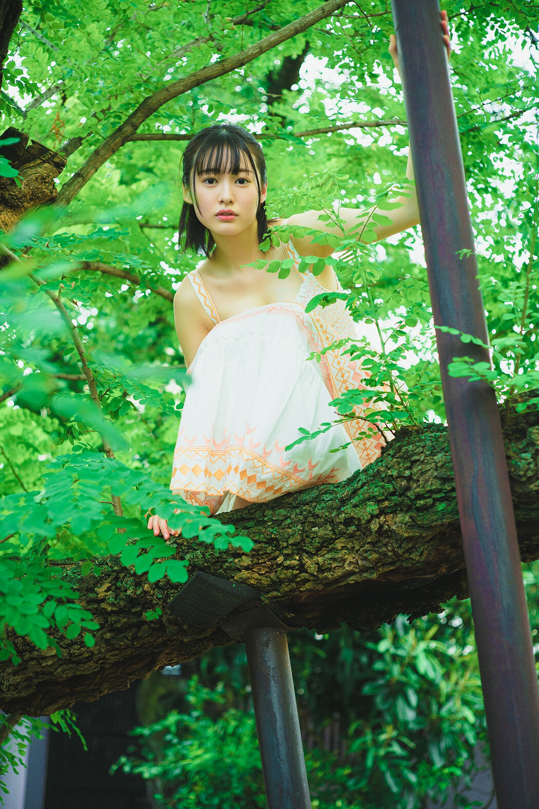 Miu Shirahama 白濱美兎, ヤングチャンピオンデジグラ 「鳥取が生んだ超逸材！」 Set.02