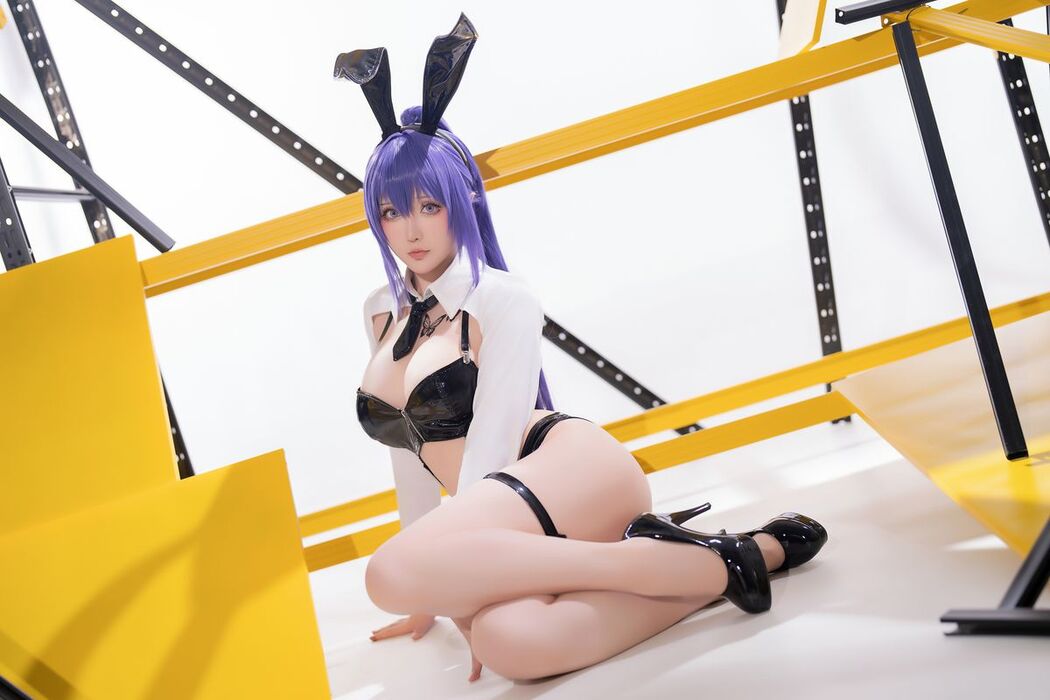Coser@星之迟迟Hoshilily – 2025年02月计划B 画师同人 尤娜兔女郎 (29P)