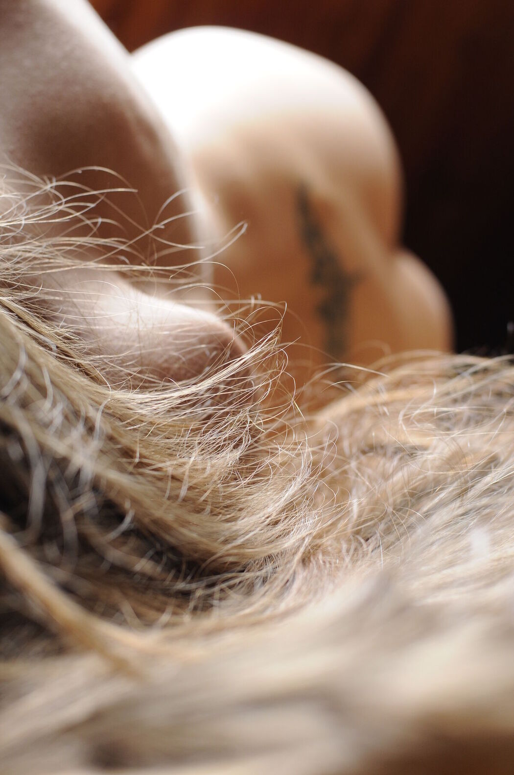 MetArt Elance A &#8211; Misterios Part2 (63P)