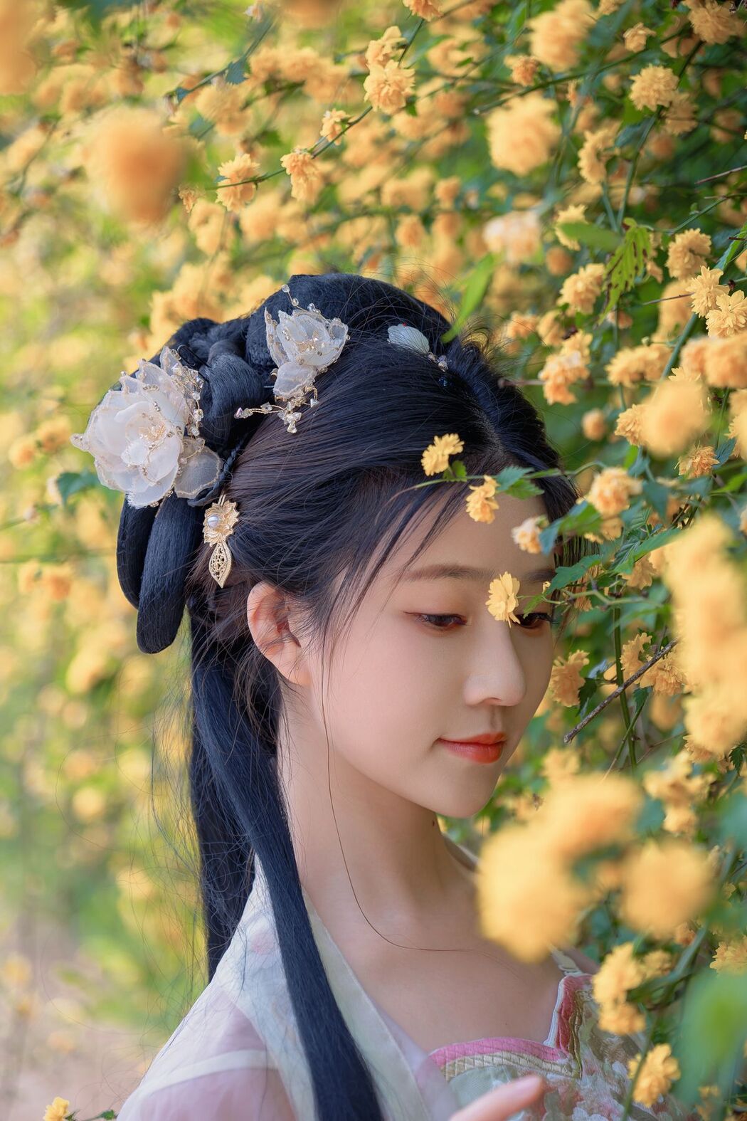 Coser@年年Nnian – 海棠仙 (85P)