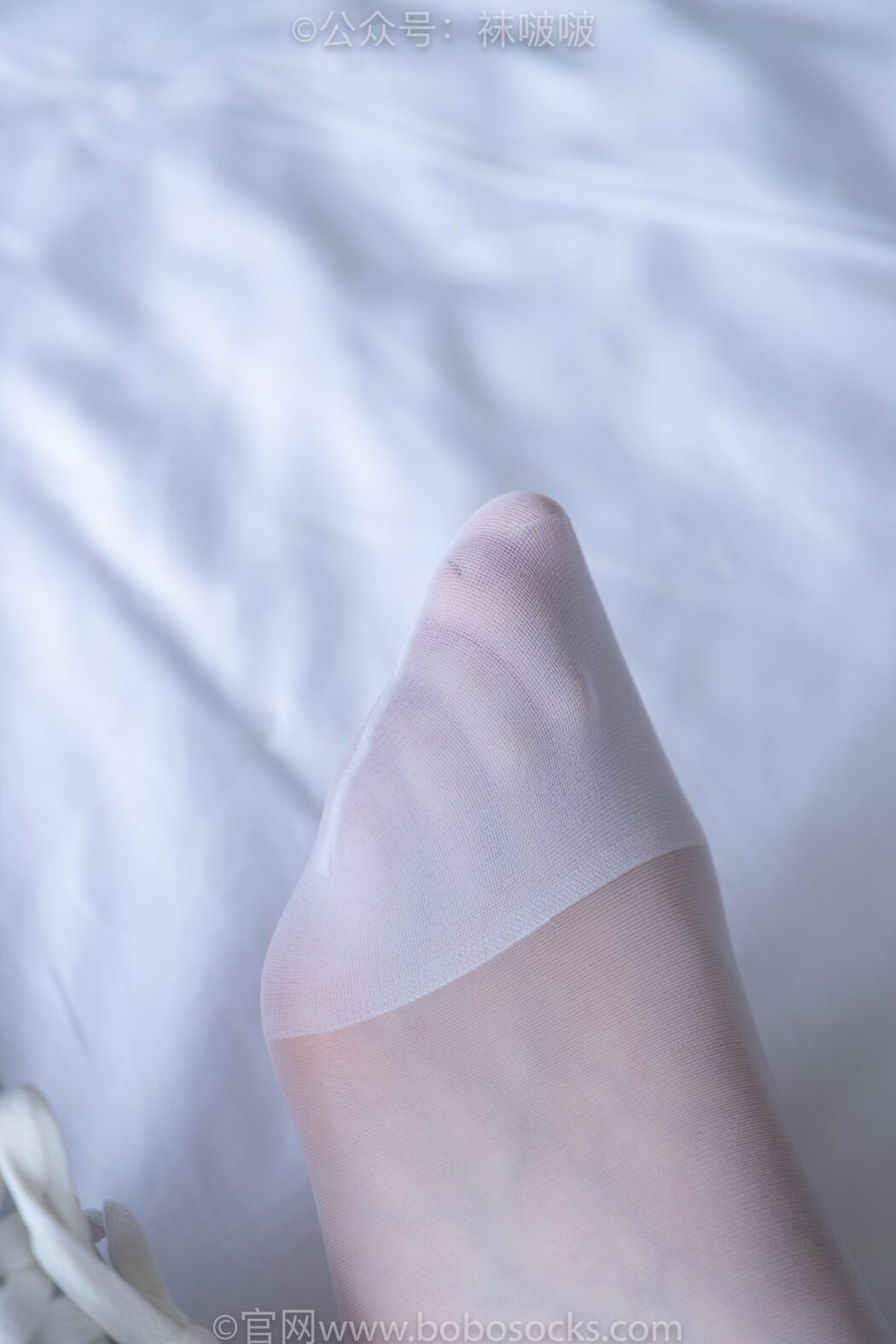 BoBoSocks袜啵啵 NO.005 Xiao Tian Dou