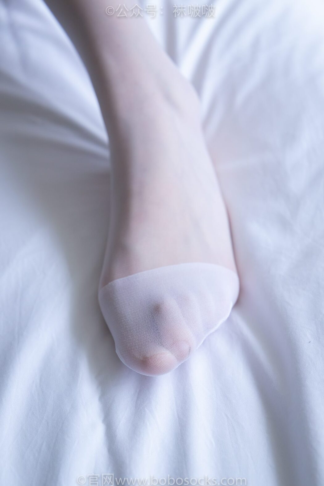 BoBoSocks袜啵啵 NO.005 Xiao Tian Dou