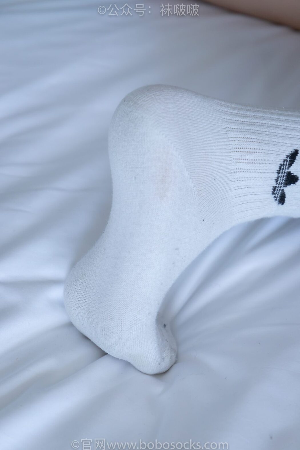 BoBoSocks袜啵啵 NO.003 Guo Dong