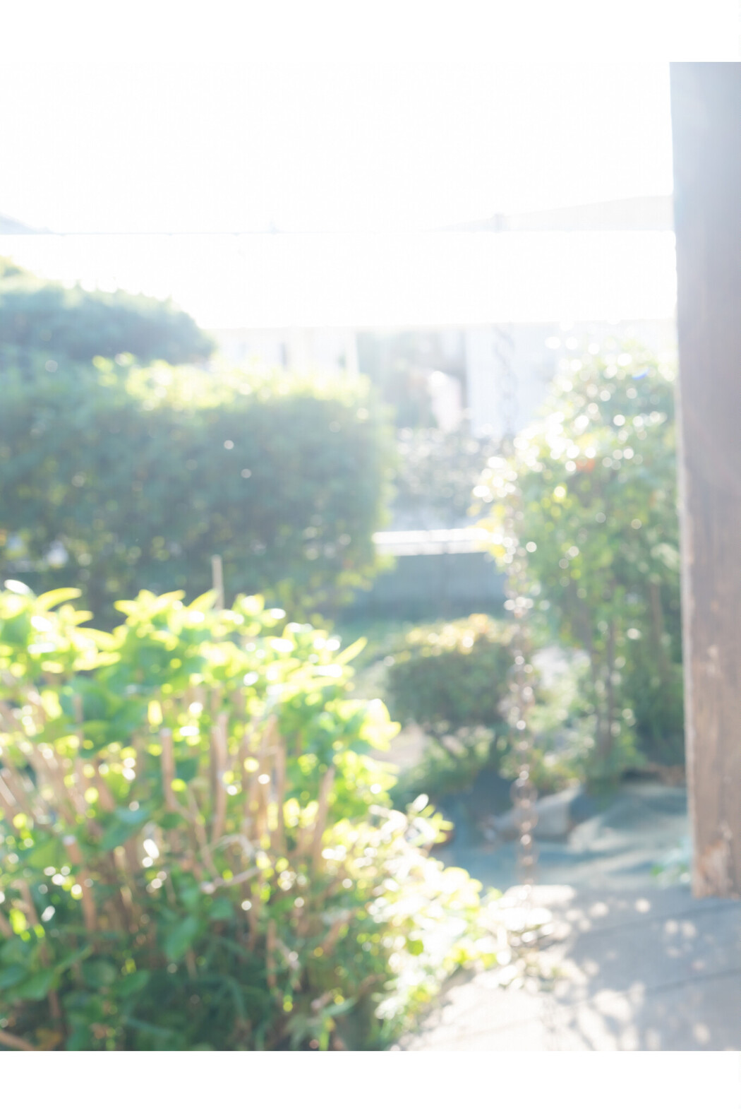 Miyabi Nagano 長野雅, デジタル写真集 グラビアプレス 「帰省」 Set.03