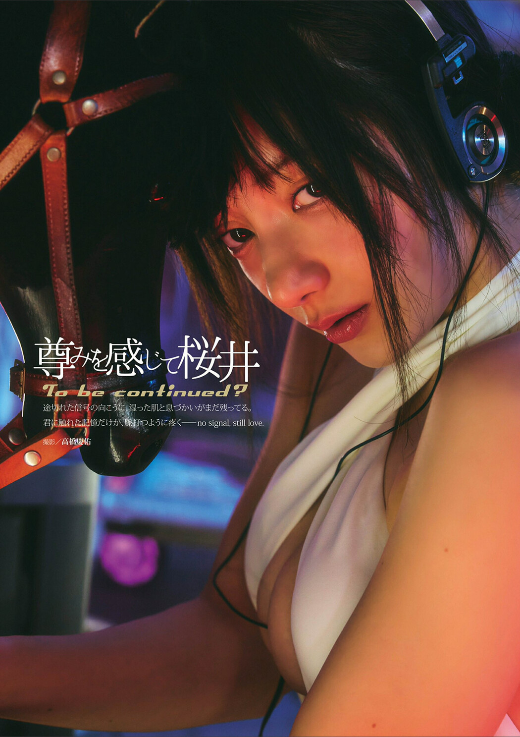 Toutomiwokanjite Sakurai 尊みを感じて桜井, Dolce.Vol 14-17 Cover Photo