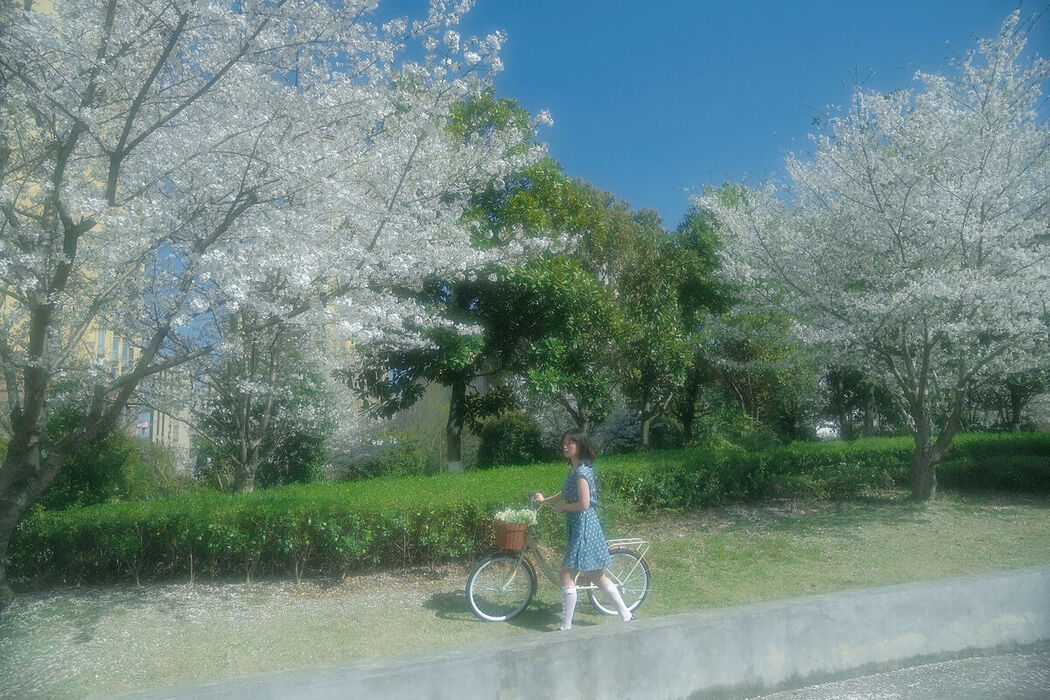 YiTuYu艺图语 Vol.8333 鑫鑫 (23P)