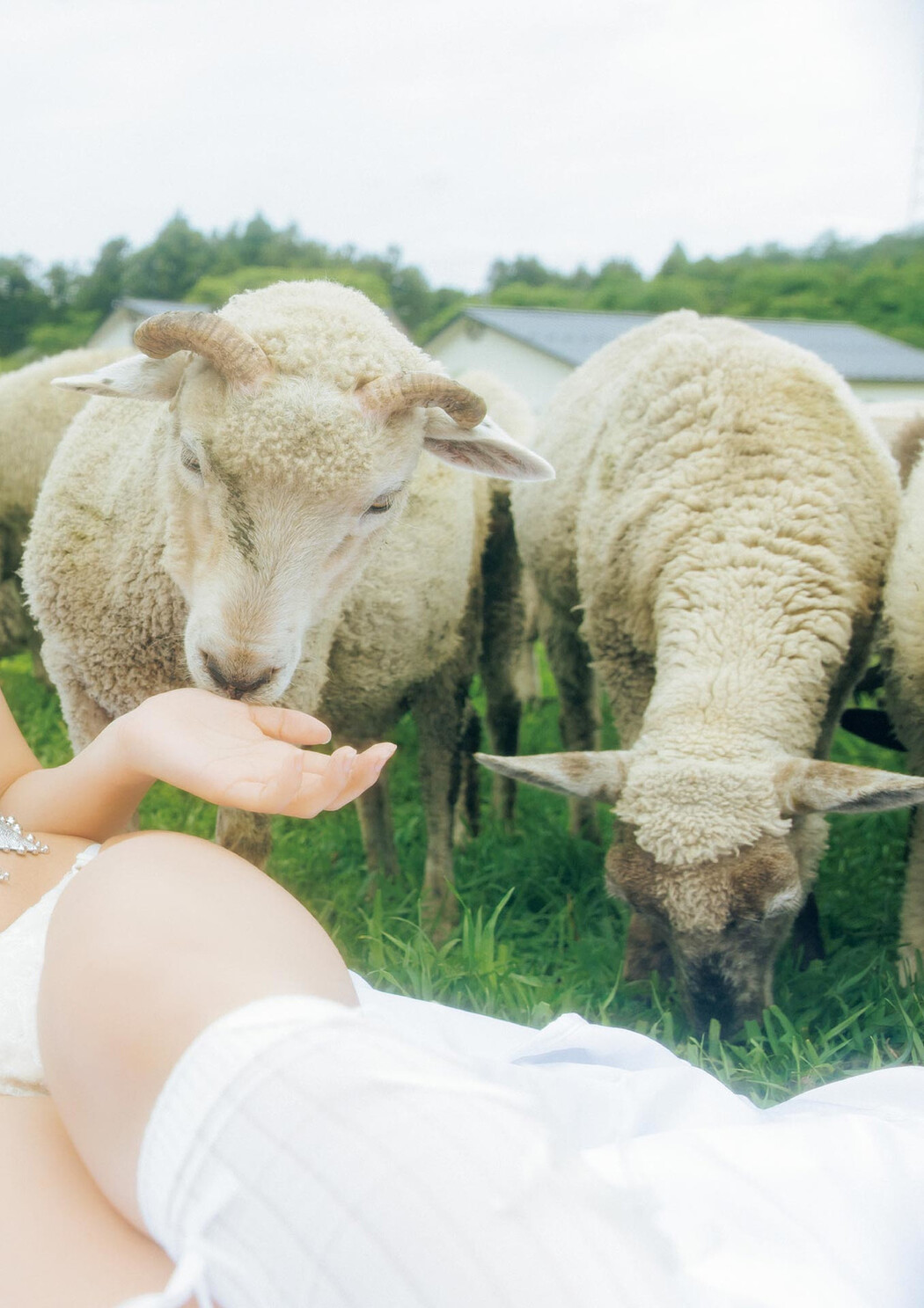 Ririka Fukui 福井梨莉華, BLT MONSTER Round 5 B.L.T.MOOK