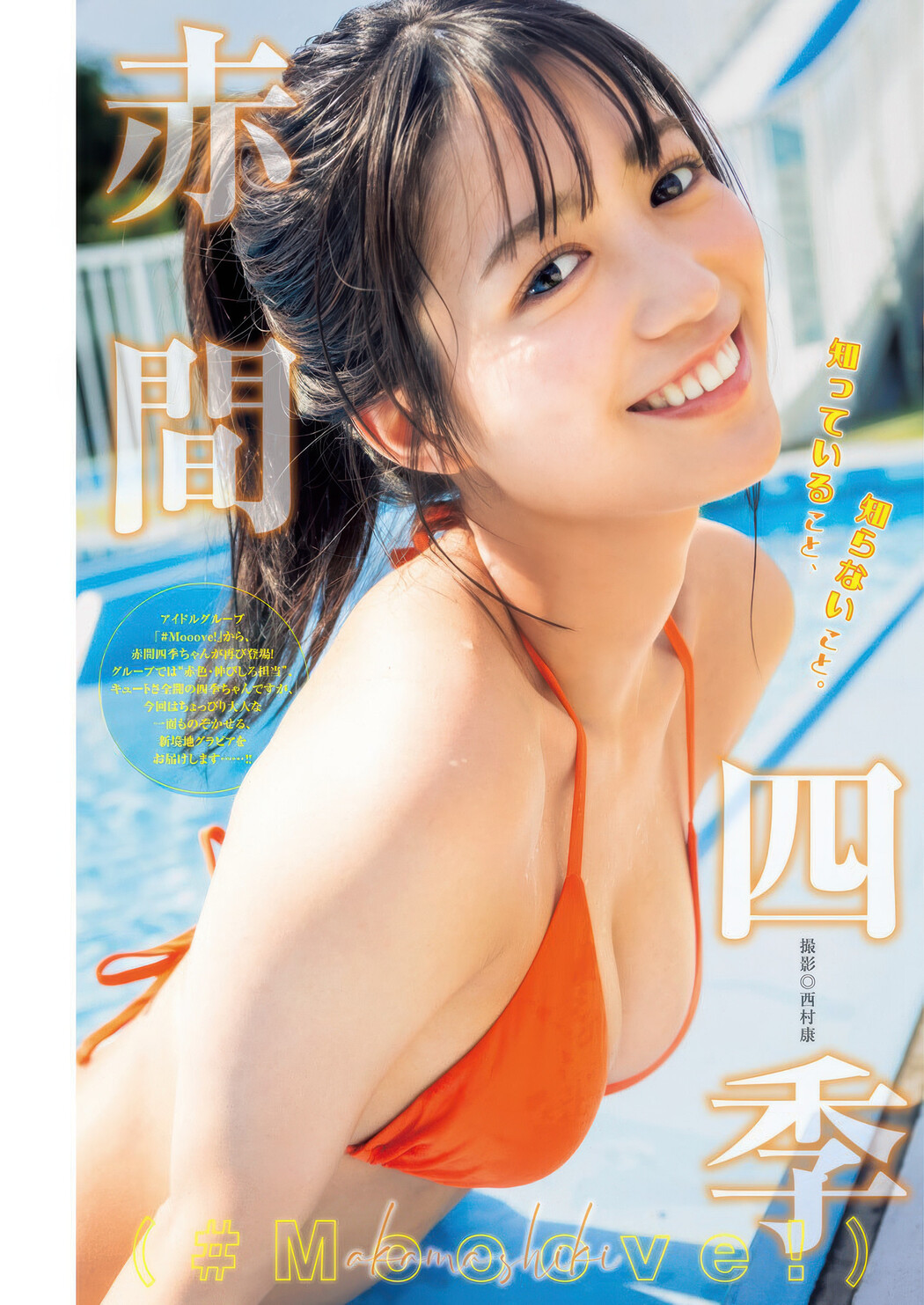 Shiki Akama 赤間四季, Hanna Sembokuya 仙北谷ハンナ, Young Jump 2025 No.40 (ヤングジャンプ 2025年40号) Cover Photo