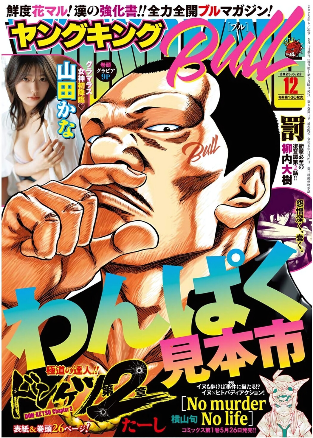 Kana Yamada 山田かな, Young King Bull 2025.06 (ヤングキングBULL 2025年6号) Cover Photo