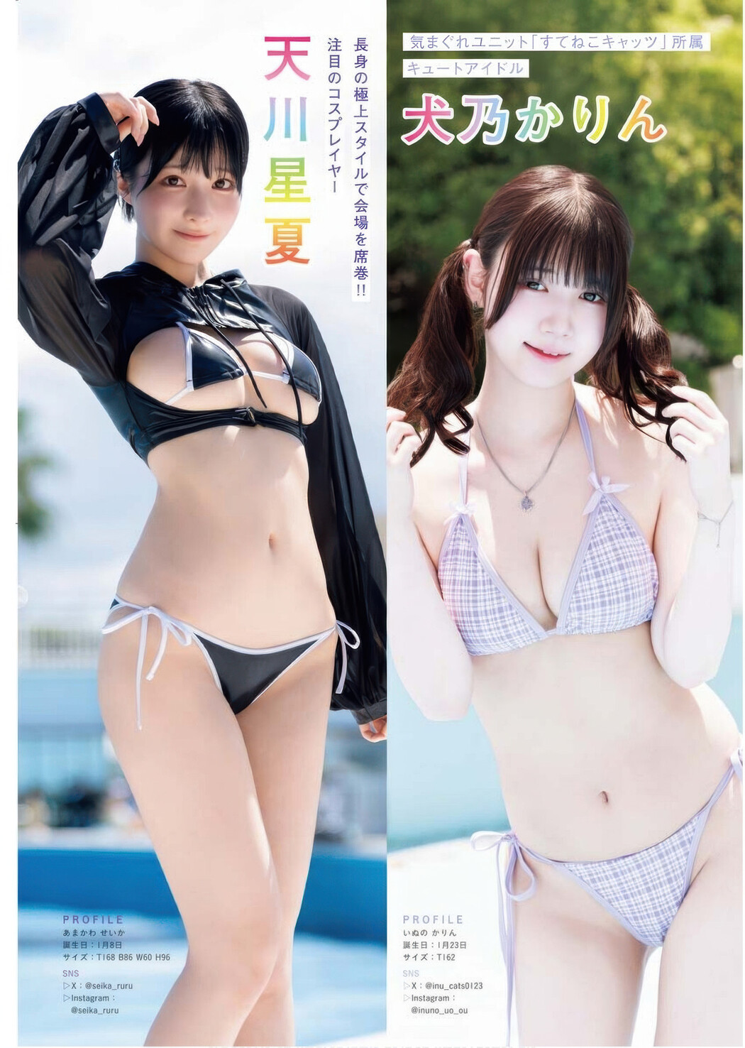 Enako えなこ, Umi Shinonome 東雲うみ, Ami Minami 南あみ, Young King 2025 No.17 (ヤングキング 2025年17号)