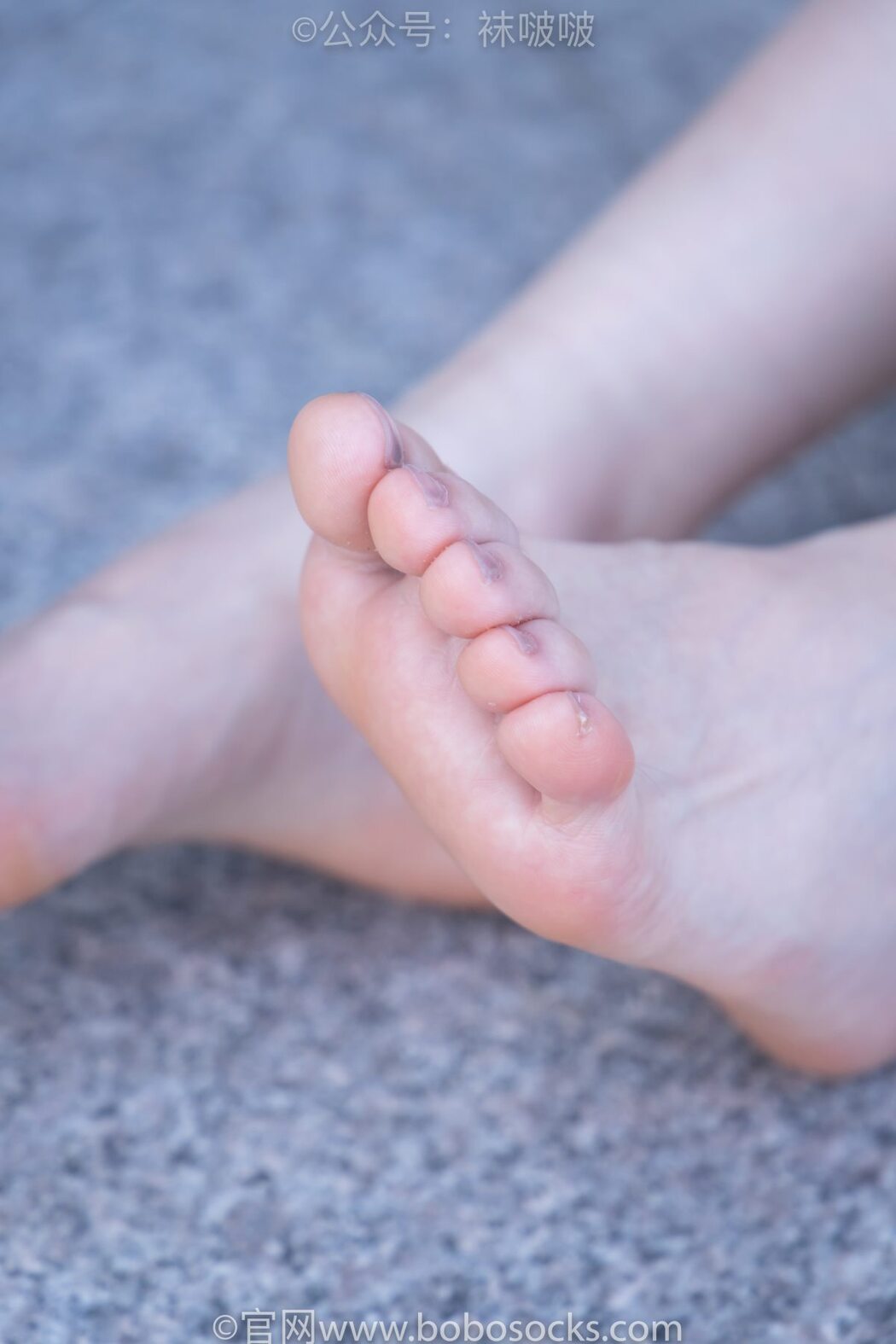 BoBoSocks袜啵啵 NO.006 Xiao Mi