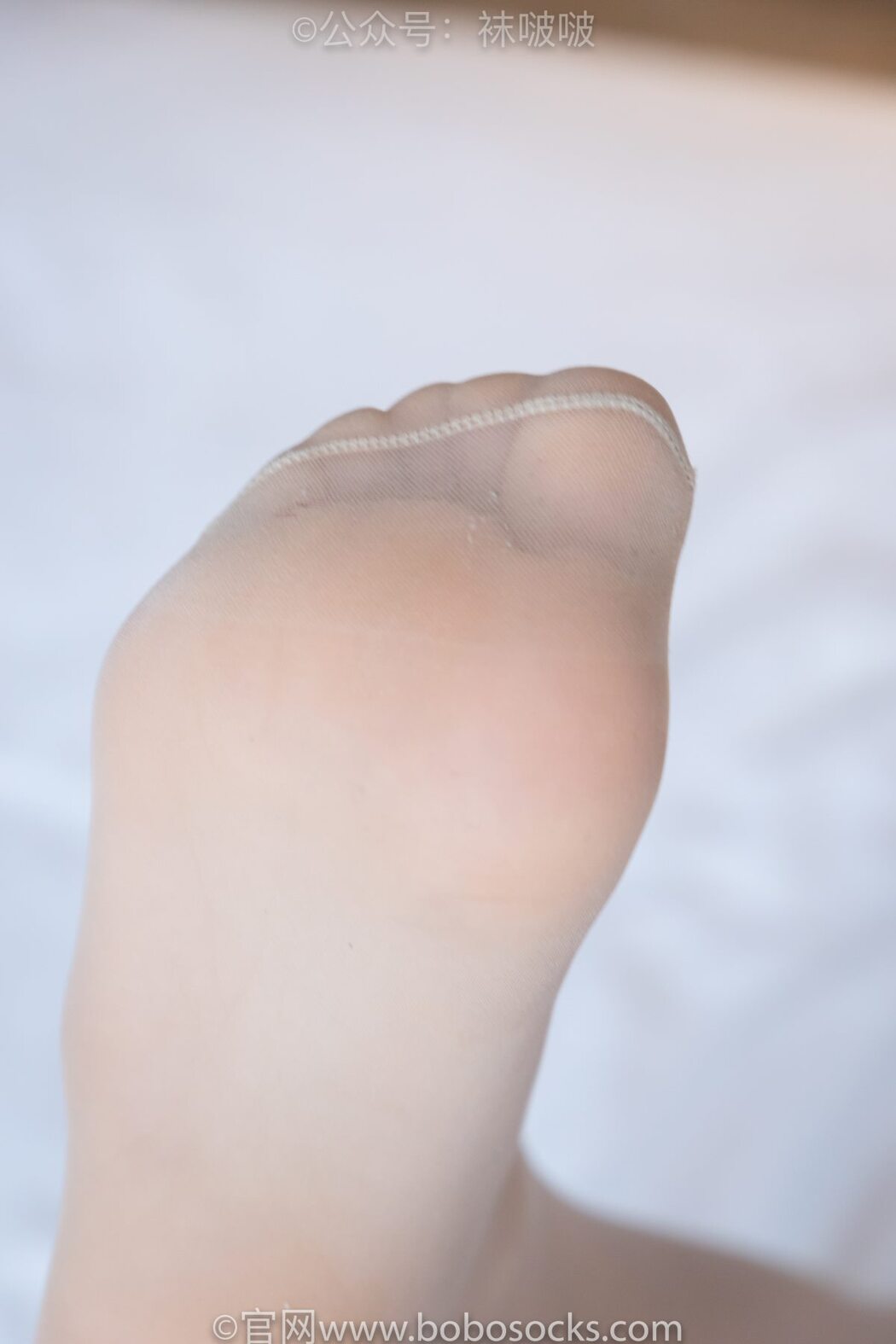 BoBoSocks袜啵啵 NO.008 Han Han