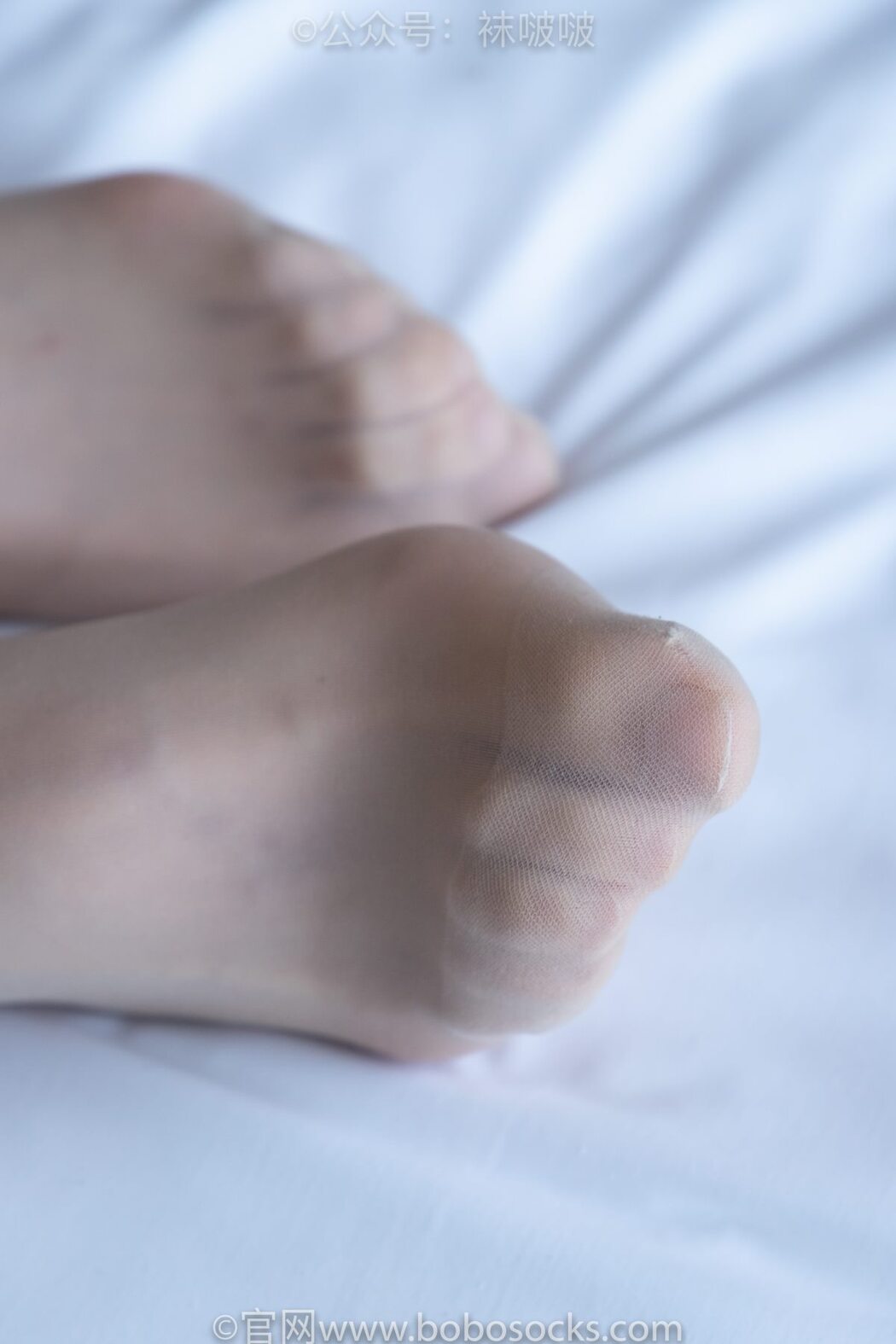 BoBoSocks袜啵啵 NO.008 Han Han