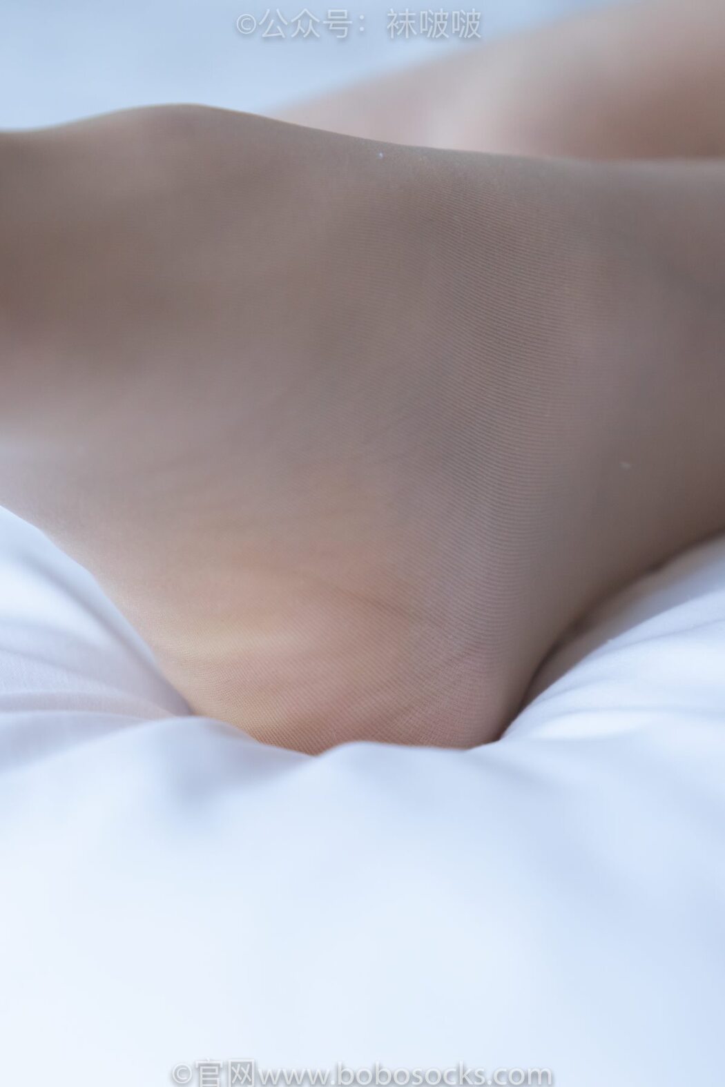 BoBoSocks袜啵啵 NO.008 Han Han