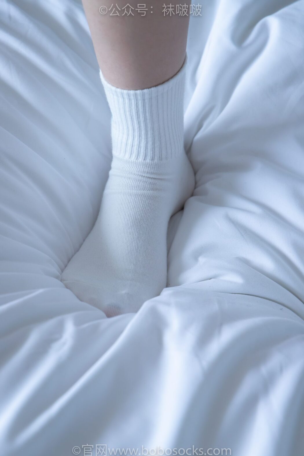 BoBoSocks袜啵啵 NO.009 Guo Dong