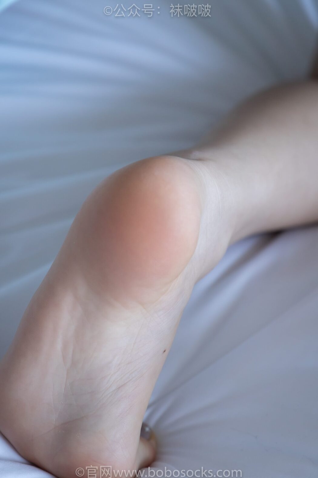 BoBoSocks袜啵啵 NO.009 Guo Dong